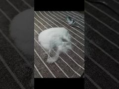 Zobacz dlaczego wybrać MSM w proszku o granulacji 40-80 mesh, testowany metodą GC, z całkowitą zawartością metali ciężkich 3